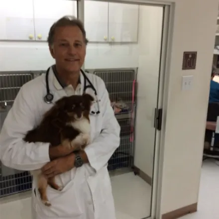 Dr. Greg Wied Holding a Dog